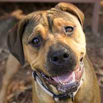 Thumbnail photo of Arwen 57211 #1