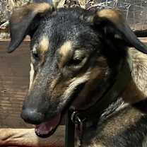 Thumbnail photo of Mercy #3