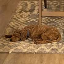 Thumbnail photo of Victor 21725 #4