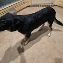 Thumbnail photo of Taz Pursley #2