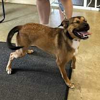 Thumbnail photo of Tank #3