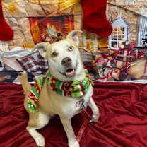 Thumbnail photo of Malawi #1