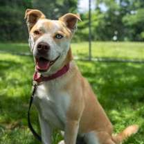 Thumbnail photo of Malawi #2