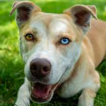 Thumbnail photo of Malawi #3