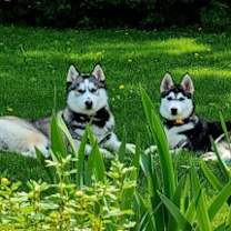 Thumbnail photo of Helen #2