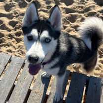 Thumbnail photo of Helen #3