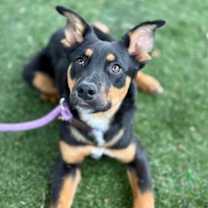 Thumbnail photo of Selena #2