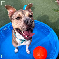 Thumbnail photo of Vlad #3