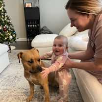 Thumbnail photo of Daisy #3