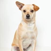 Thumbnail photo of Peanut #2