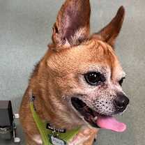 Thumbnail photo of Plait 13510 #2