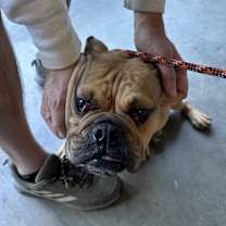 Thumbnail photo of Darla #2