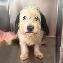 Thumbnail photo of Mimi MooMoo WeeWee WooWoo #3