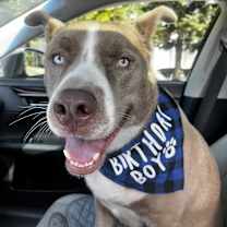 Thumbnail photo of Oso #2