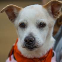 Thumbnail photo of Bear #3