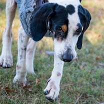 Thumbnail photo of Janice #4