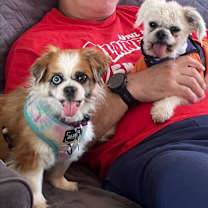 Thumbnail photo of Star and Pina BONDED SISTERS #2