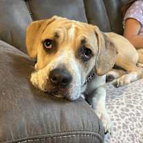 Thumbnail photo of Maggie #1