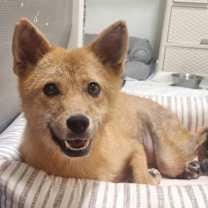 Thumbnail photo of Daeun #1