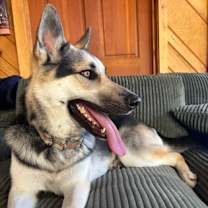 Thumbnail photo of Effie #2