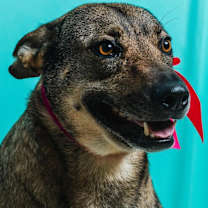 Thumbnail photo of Lilly #2