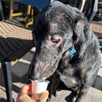 Thumbnail photo of Teachers Pet #2