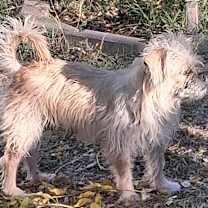 Thumbnail photo of Aretha #4