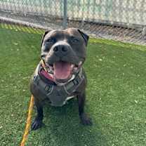 Thumbnail photo of Jalen Hurts #1