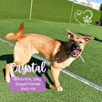 Thumbnail photo of Crystal #1