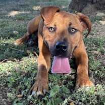 Thumbnail photo of Kanjiro #3