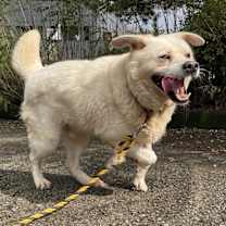 Thumbnail photo of Jinsu #3