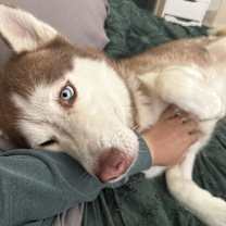 Thumbnail photo of Kale #1