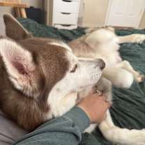 Thumbnail photo of Kale #3