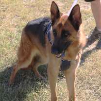 Thumbnail photo of Diamond #2