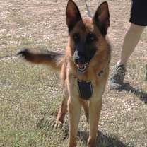 Thumbnail photo of Diamond #1