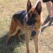 Thumbnail photo of Diamond #4