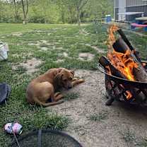 Thumbnail photo of Auburn #2