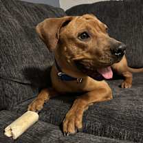 Thumbnail photo of Auburn #1