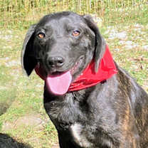 Thumbnail photo of Jethro #4