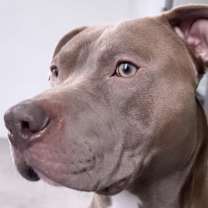 Thumbnail photo of Rock #1