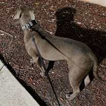 Thumbnail photo of Rock #2