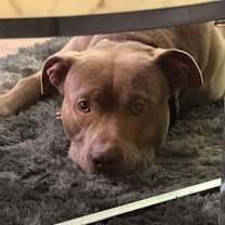 Thumbnail photo of Rock #3