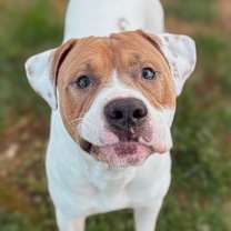 Thumbnail photo of Mason #1