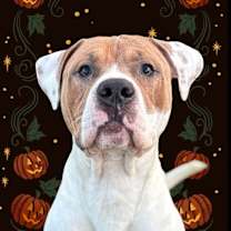 Thumbnail photo of Mason #3