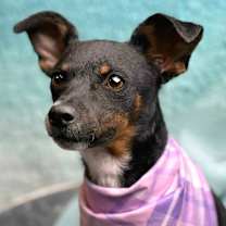 Thumbnail photo of Baisley #1