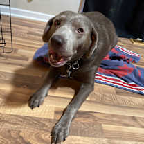 Thumbnail photo of Ryker #3