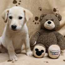 Thumbnail photo of Stuffin' #2