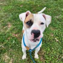 Thumbnail photo of Target #4