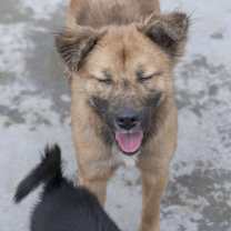 Thumbnail photo of Bravo #3