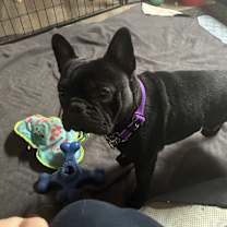 Thumbnail photo of Chunk #3